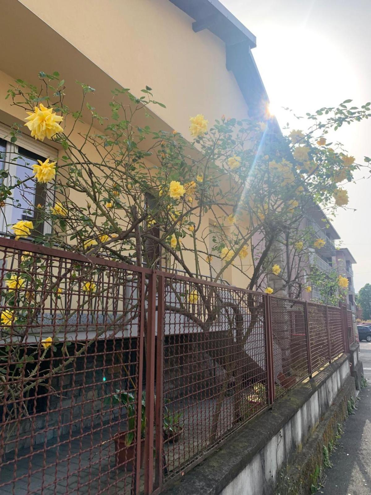 Casa Natasha Guest house